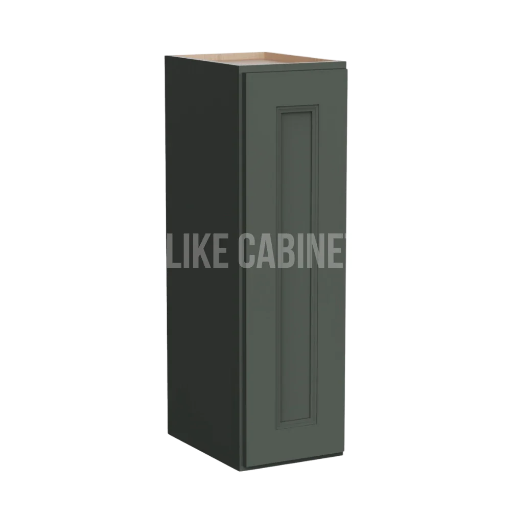 Aston Green 30'' H Single Door Wall Cabinet