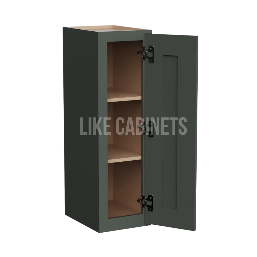 Aston Green 30'' H Single Door Wall Cabinet