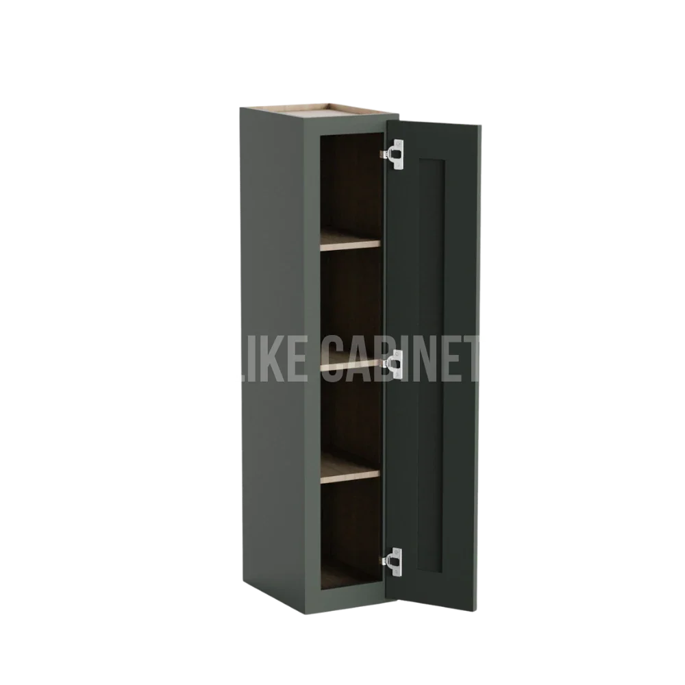 Aston Green 42'' H Single Door Wall Cabinet