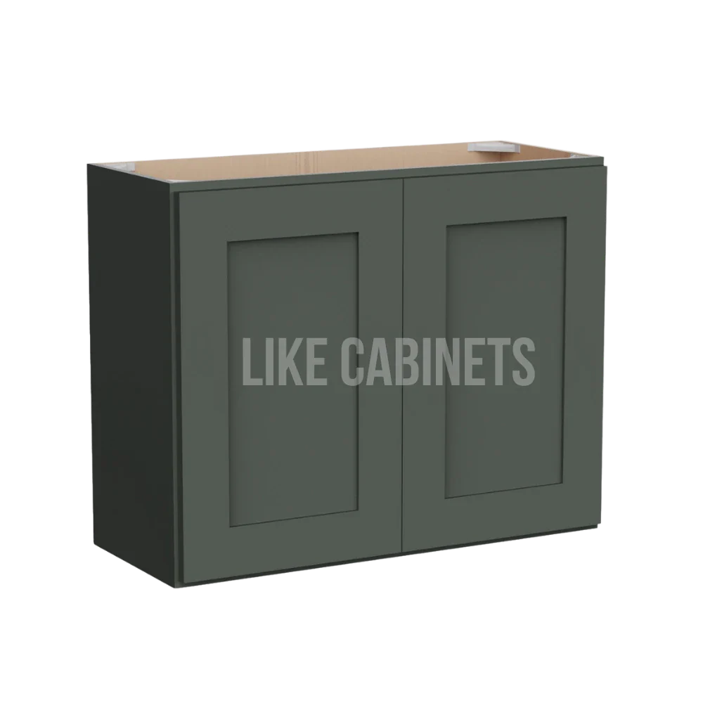 Aston Green 24'' H Double Door Wall Cabinet