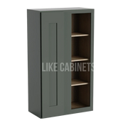 Aston Green 42'' H Wall Blind Cabinet