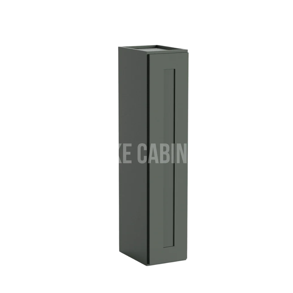 Aston Green 42'' H Single Door Wall Cabinet