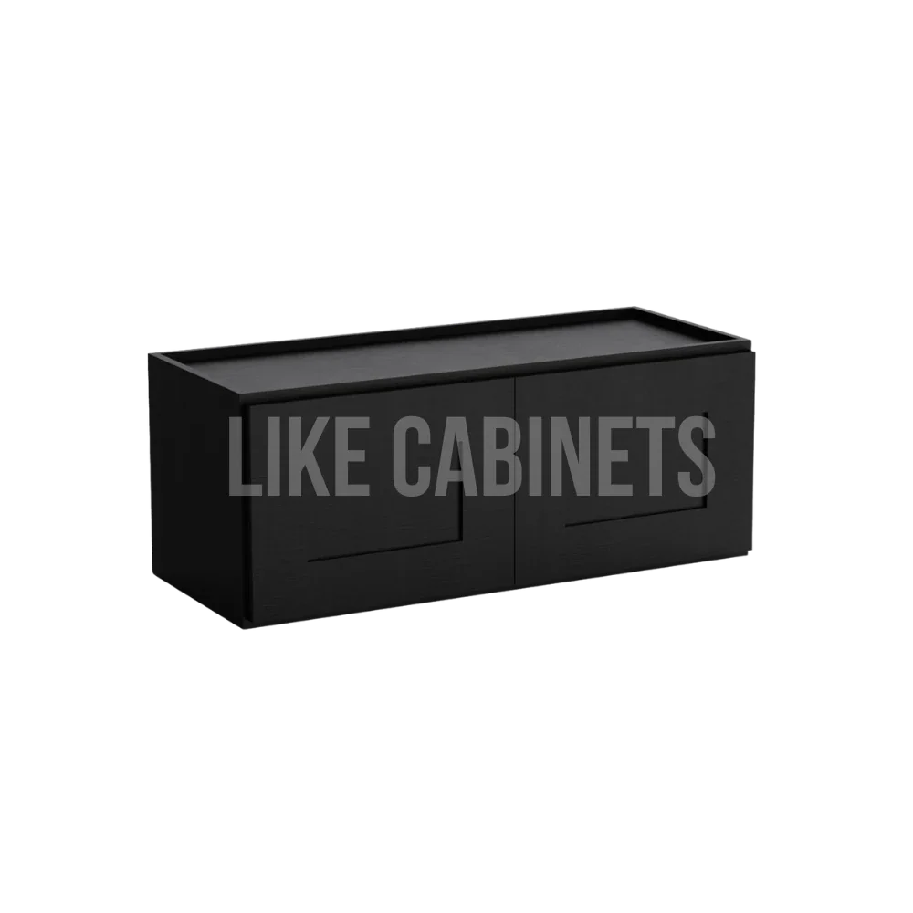 Iron Black 12'' H Double Door Wall Cabinet