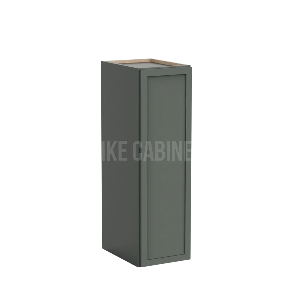 Slim Aston Green 30'' H Single Door Wall Cabinet